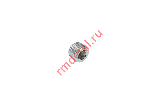 Пробка резьбовая NPT 1/4 21040105801