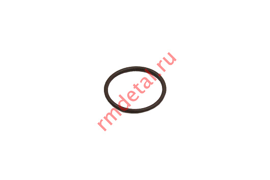 Кольцо уплотнительное 24х2 21040201501