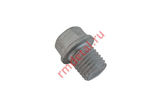 Пробка резьбовая M12х1.5 21040104801