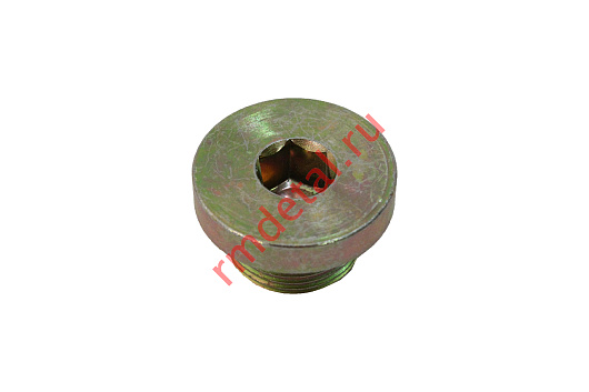 Пробка резьбовая М22х1,5 21040110801