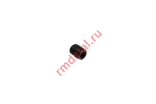Винт 8×10×1.25 21120102001